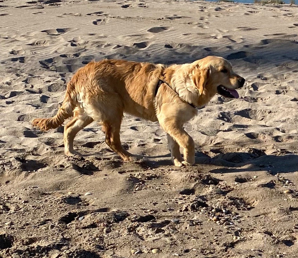 Uma Des Monts d'Asgard